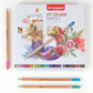 Bruynzeel expression 24 colour pencils tin with pencils - Paper Dream