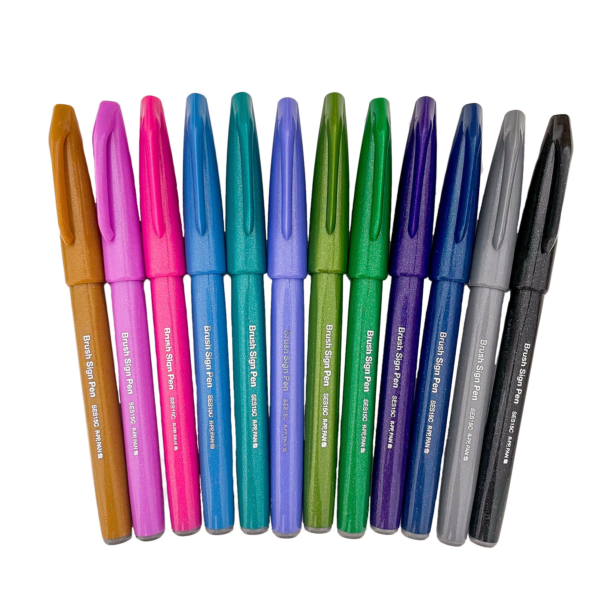 PENTEL Brush Pen Brush Touch Sign Pen NEW 6 Colors Set