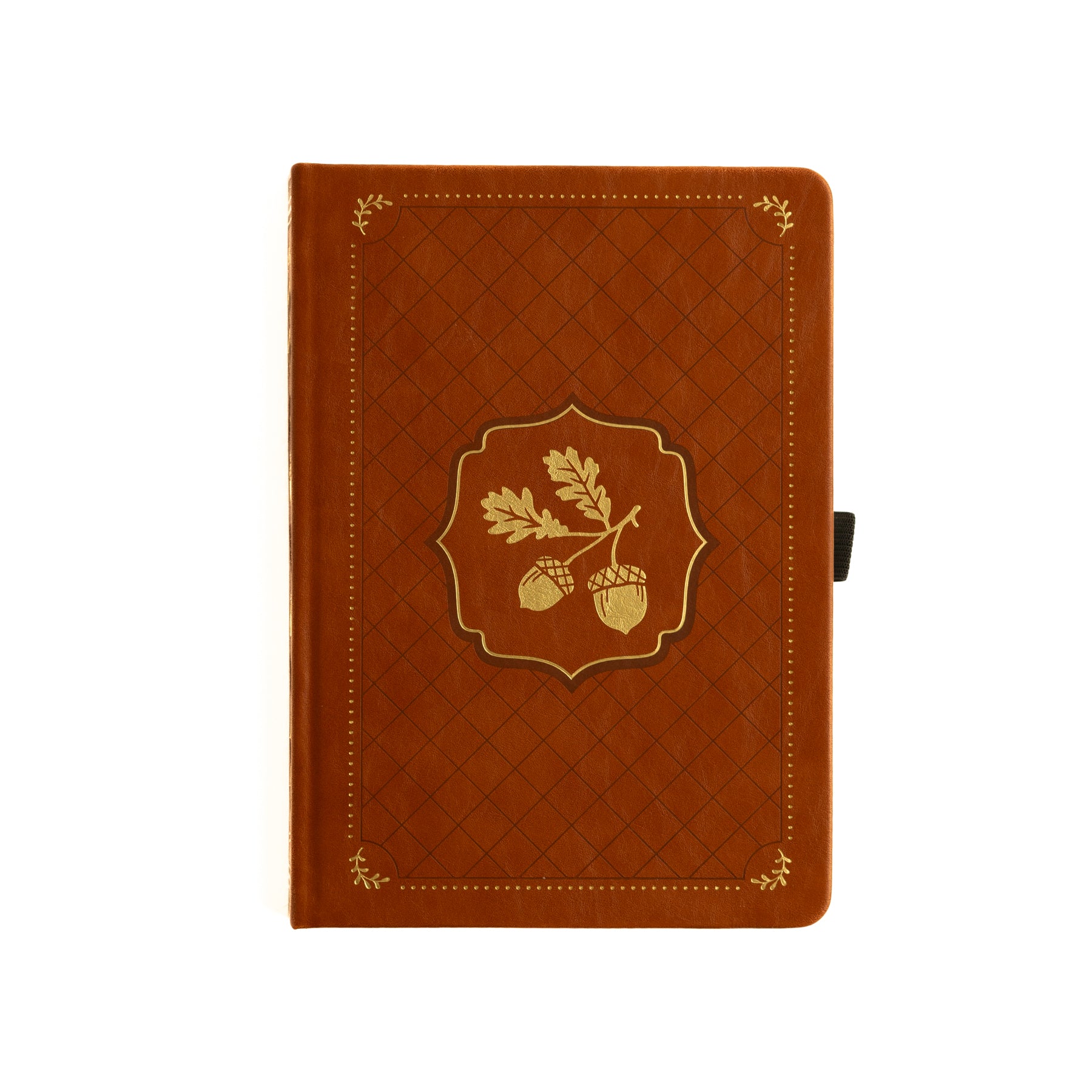 Archer and Olive Acorns Dot Grid Notebook Front Cover - Paper Dream